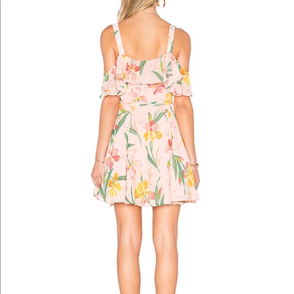 Privacy please hamlet dress - Picture 2 of 4